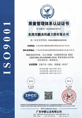 ISO9001 Quality System Certification